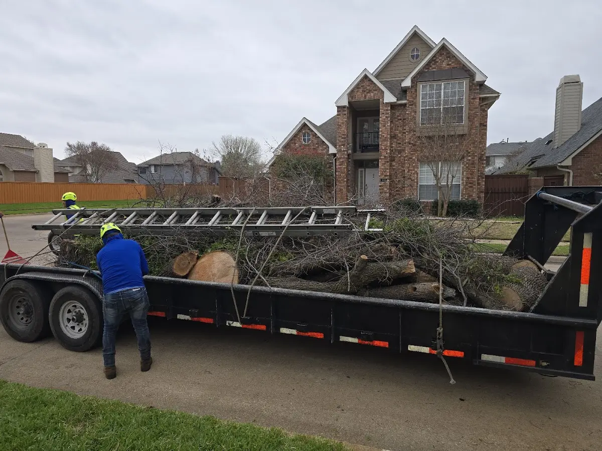 Expert Crown Reduction with proper safety equipment in Jesup